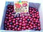   Cherry Custom Bulk vending Fresh Candy 1 Retro Gum balls Gumballs New