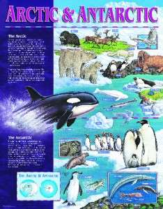 ARCTIC ANTARCTIC Chart Poster Teacher Animal Habitats  