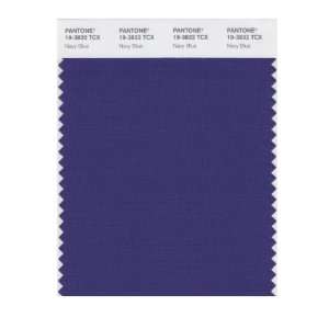  PANTONE SMART 19 3832X Color Swatch Card, Navy Blue: Home 