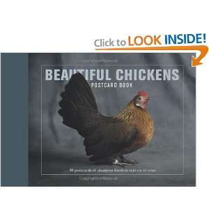  Beautiful Chickens Postcard Book (9781907332234) Books