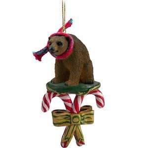  Brown Bear Candy Cane Christmas Ornament: Home & Kitchen