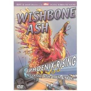   Rising   Then And Now [dvd] [dvd] (2004) Wishbone Ash Movies & TV