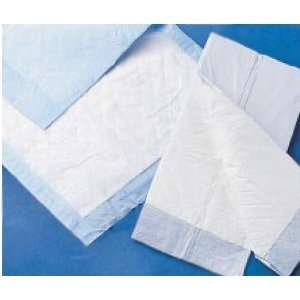  Disposable Underpads 23 X 24 Case/200 Economy Weight 
