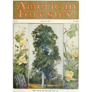  American Forestry American Forestry Association Books