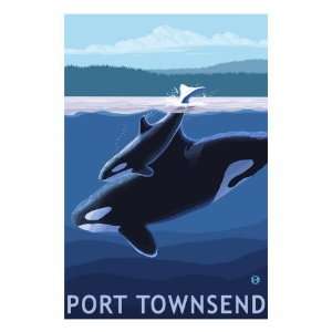 Port Townsend, WA   Orca & Calf Premium Poster Print, 12x16  