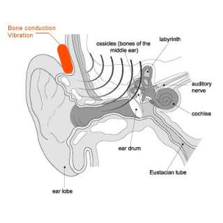 the bone conduction system engineered product enabling dynamic without 