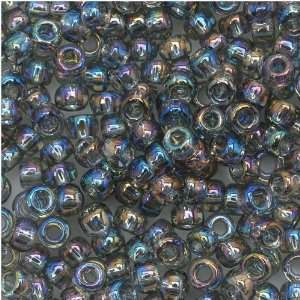  Toho Round Seed Beads 8/0 #176 Transparent Rainbow Black 