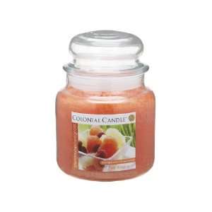 Set of 4 Grapefruit & Wheatgrass Scented Jar Candles 15oz 