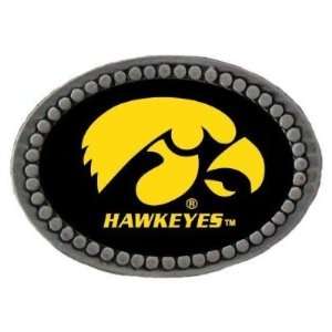  Set of 2 Iowa Hawkeyes Team Logo Lapel Pin   NCAA College 