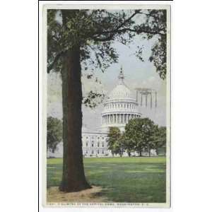  Reprint A Glimpse of the Capitol Dome, Washington, D. C 