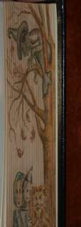 Gregory Maguire WICKED SON OF WITCH Fore Edge Painting  