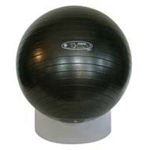  FitBALL Sport Soft Exercise Ball   65cm: Sports & Outdoors