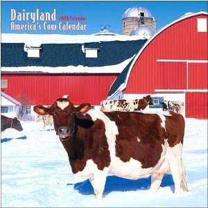    Dairyland Americas Cow 2008 Wall Calendar: Office Products