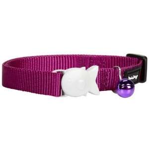 Red Dingo Classic Collar   Purple   One Size Fits All (Quantity of 4)