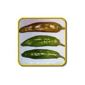  1/4 Lb   Anaheim Chile   Bulk Hot Pepper Seeds: Patio 