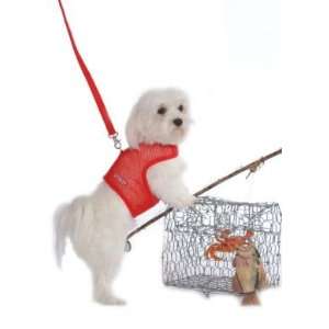  Red Mesh Dog Harness Vest w/leash XL: Everything Else