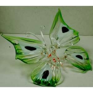  Hand blown murano glass exotic butterfly