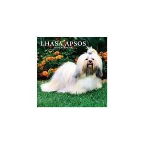  Lhasa Apsos 2010 Standard Wall Calendar By Browntrout 