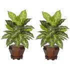   Dieffenbachia in Variegated with Wood Vase Silk Plant (Set of 2