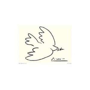 Dove Of Peace Poster Print