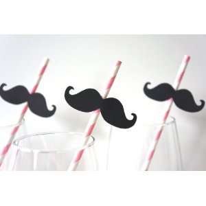 Mustache Straw Photo Props   Set of 5   Mustaches on BABY PINK Striped 