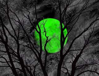 Large+Green+Tree Moon+Matted+Home Wall Art Picture  