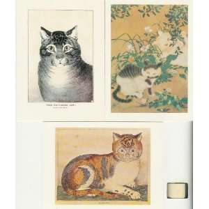 Big Box of Cats Note Cards & Envelopes 