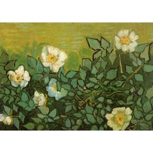  Oil Painting: Wild Roses: Vincent van Gogh Hand Painted 