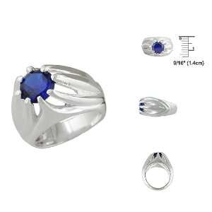    Sterling Silver Elevated Design Blue CZ Ring Size: 6: Jewelry