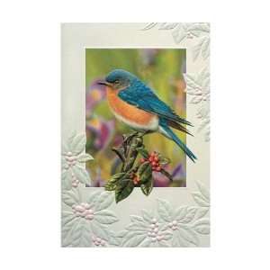   Berry Blue Bday   Everyday Greeting Cards. Pack of 6: Everything Else