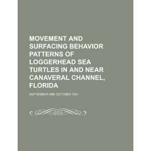 : Movement and surfacing behavior patterns of loggerhead sea turtles 