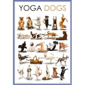Hunde Poster und Kunststoff Rahmen   Yoga, Heraufschauender Hund 
