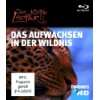 Austin Stevens   Der Gefahrensucher, Vol. 01   03 3 DVDs  