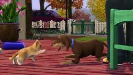 Mit Die Sims 3 Einfach tierisch kannst du über hundert 
