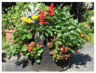 New Smart Pots for Container Gardening Cloth 65 Gallon  