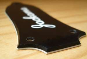 Notched Type 3 Hole CUSTOM ENGRAVED TRUSS ROD COVER  