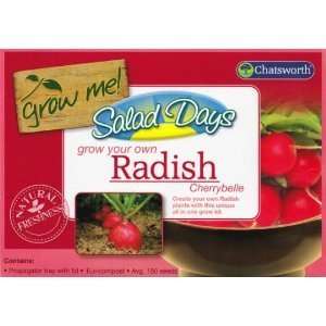  Grow Your Own Radish   Cherrybelle   Propagator 