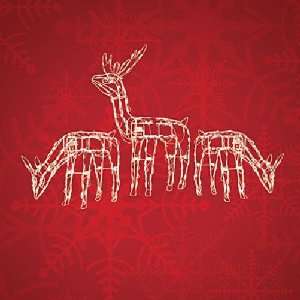   40 AND 24 LIGHTED DEER CHRISTMAS YARD DECORATION: Everything Else