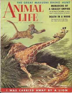 Animal Life The Magazine Of Outdoor Adventure June 1955  