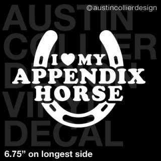LOVE MY APPENDIX HORSE Vinyl Decal Car Laptop Sticker  
