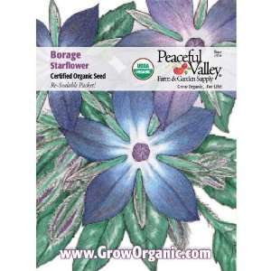  Organic Borage Seed Pack Patio, Lawn & Garden