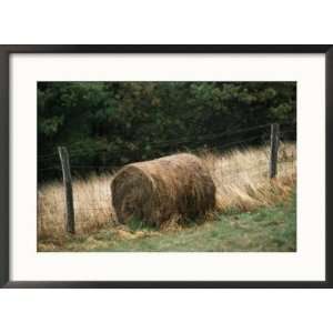  Barbed Wire Fence and Hay Roll in Farmers Field, Tye River 