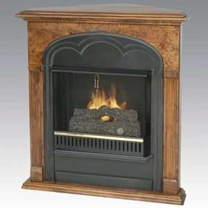  Real Flame Rachel Ventless Gel Corner Fireplace   #4550 in 