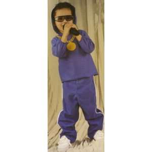   Toddler Medium Size 2 4   Economy Lil Hip Hop Costume: Toys & Games