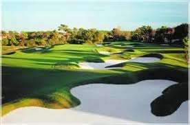 Marriot Grand Vista Condominiums Orlando Faldo Golf 2012 M/Fee PAID 