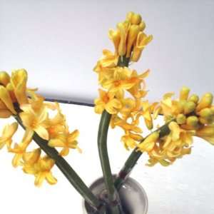   : 12 Yellow Hyacinth Spray With Bud Silk Flowers 21 Home & Kitchen